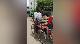 Two obedient pet dogs balance on top of moving rickshaw in Myanmar