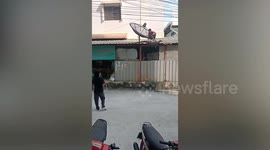 Wild monitor lizard caught hiding on family's roof