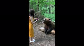 A girl in the forest feeds a bear