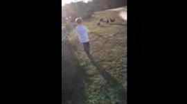 Rooster Chases Boy
