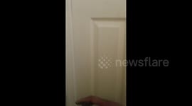 Woman Poop Pranks Mom