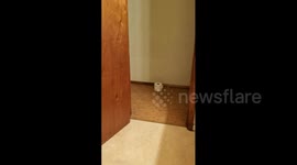 Boy Gets Poop Pranked