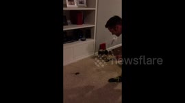 Man catches elusive mouse running around his home with pair of tongs