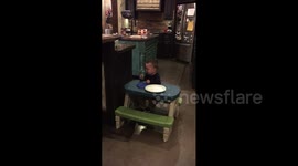 Tot Falls Asleep Eating