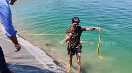 Rescue team dive into pond to retrieve stranded snake in India