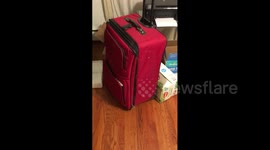 Boy Poops in Suitcase