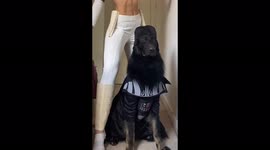 Stunning Star Wars cosplay of a girl and her dog