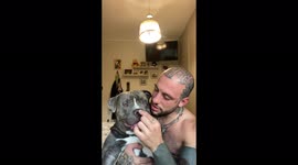 The owner played a prank on his dog by pretending to want to eat his nose!