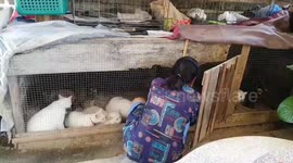 Pet lover keeps family of rare 'diamond-eyed' cats at home in Thailand