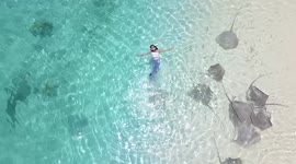 Tourist floats with stingrays while swimming in the Maldives