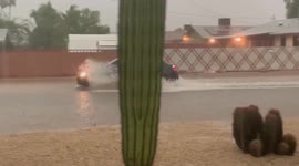 US: Monsoon Storm Brings Heavy Rains And Flash Floods To Phoenix Metro Area