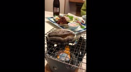 Dancing Abalone