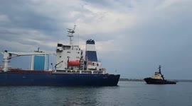 First grain ship leaves Ukrainian port since war with Russia began