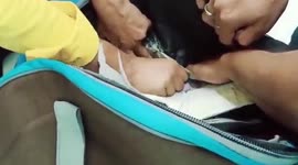 Man hides cash worth $75,762 in cavity of handbag, gets caught at airport in northern India