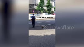 Kind policemen help duck family cross road in Japan