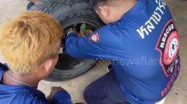 Hapless pet dog rescued after getting his head stuck in car wheel