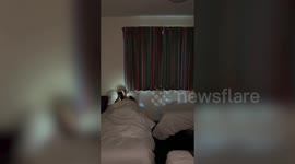 Family evicted from their home have been living in a Travelodge for four months as a council struggle to rehome them