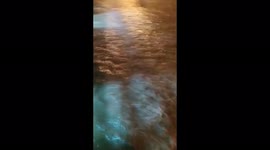 Colombia: Heavy Rain Causes Massive Flooding In Medellin 2