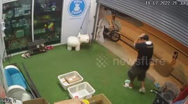 Bungling shopkeeper hits his head on rollup door