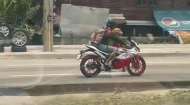 Pet Golden Retriever sits on front of motorbike with wind blowing through its fur