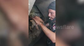 Passing food delivery rider rescues drowning kitten from canal
