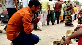Thousands queue to offer snakes milk and peas during festival in central India