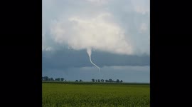 Tornado in a canola field in Southern Manitobe August 2, 2022 east of Teulon Manitoba Canada