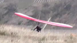 Hang Glider Landing Fail - Crashes into The Field