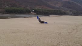 Hang glider landing fail - right wing catches the ground