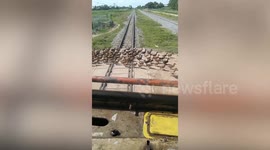 Hundreds of ducks hold up TRAIN as they cross railway tracks