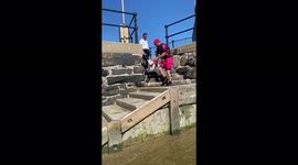 'Cute dog's 'fly or drown' response kicks in upon getting close to water
'