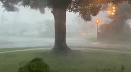 US: Thunderstorms Bring Gusty Winds And Heavy Rain To Central Florida