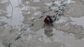 Heroic parrot owner crawls through mud to rescue stranded bird