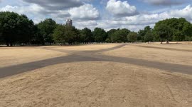 England experiences driest July since 1935, Met Office reports