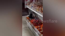 Cat steals sausages from shop in China