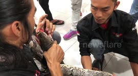 Moment snake catcher is bitten by 11-foot-long python while giving training