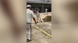 Mechanics drag 8ft-long snake out of car engine in Thailand