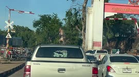 Wild monkey steals rubber weather strip from pickup truck stuck in traffic