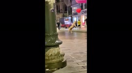 Stray dog has time of its life playing with balloon in Istanbul