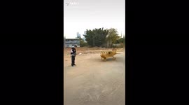 How wood Aeroplane would be like when take off experiencing a New world of wood work