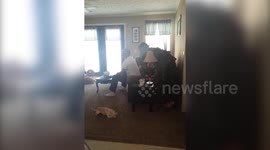 Boy Sneaks Up on Dad