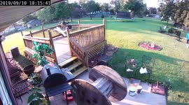 Grandmother Trips in Garden
