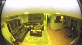 Man Slips in Kitchen