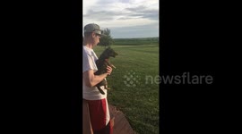 Dog Barks at Fireworks