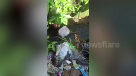 Baby boy with umbilical cord still attached found alive in shallow stream in Indonesia