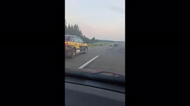 Traffic on Minsk highway held up as dozens of wild boars dart across road