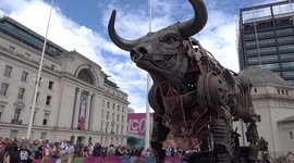 Saved from slaughter! Birmingham's Commonwealth Games 2022 Bull set to stay in city after last minute intervention