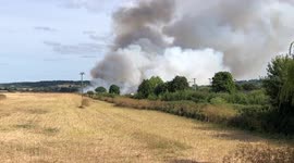 Devon, United Kingdom wildfire causes train cancellations