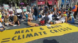 Animals rights activists protest against meat and dairy in London