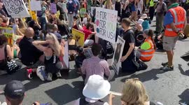 Activists block the streets around Trafalgar Square during the National Animal Rights March, London, UK